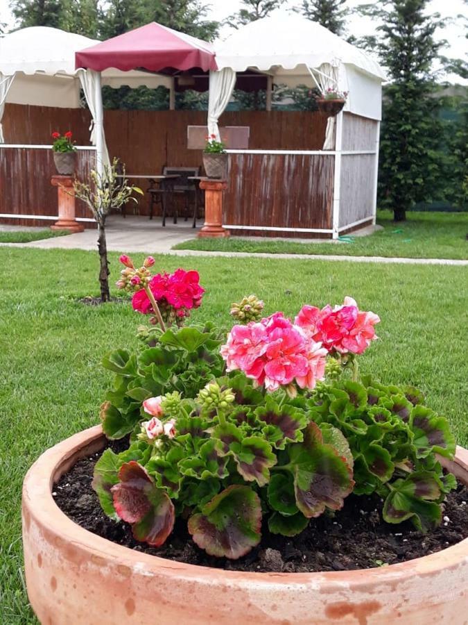 Drini Hotel Rrashbull Екстер'єр фото