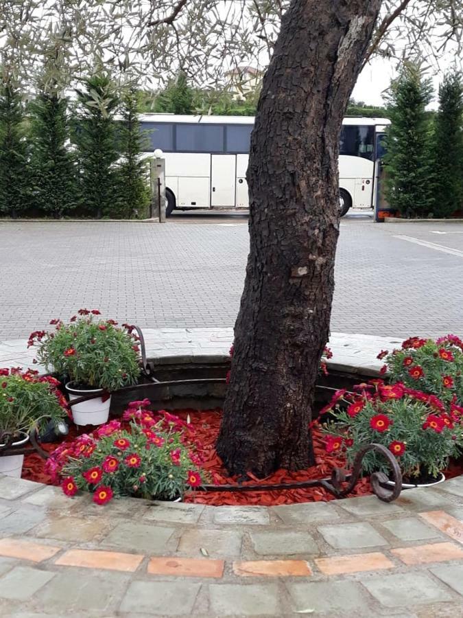 Drini Hotel Rrashbull Екстер'єр фото